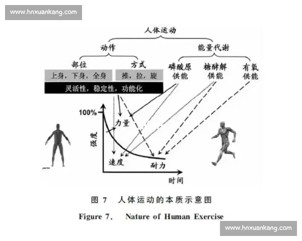 掌握多项体育运动核心技巧全面提升体能与竞技表现水平